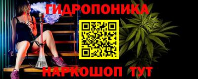 ешки Новодвинск