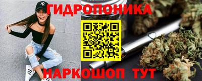 ешки Новодвинск