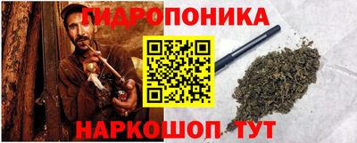 ешки Новодвинск