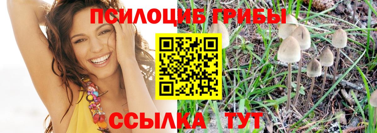Галлюциногенные грибы мицелий  Вход с VPN  Томск 